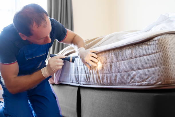 Best Fumigation Services  in Anthony, NM